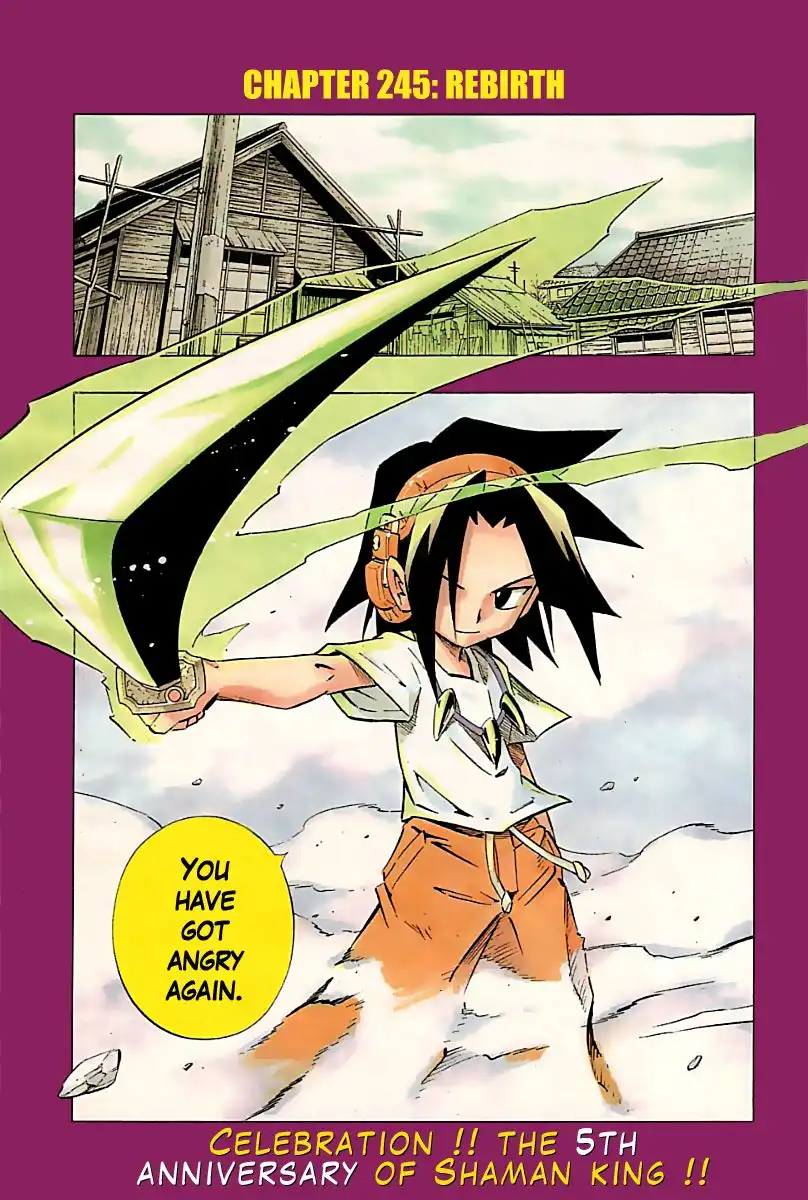 Shaman King Chapter 246 1